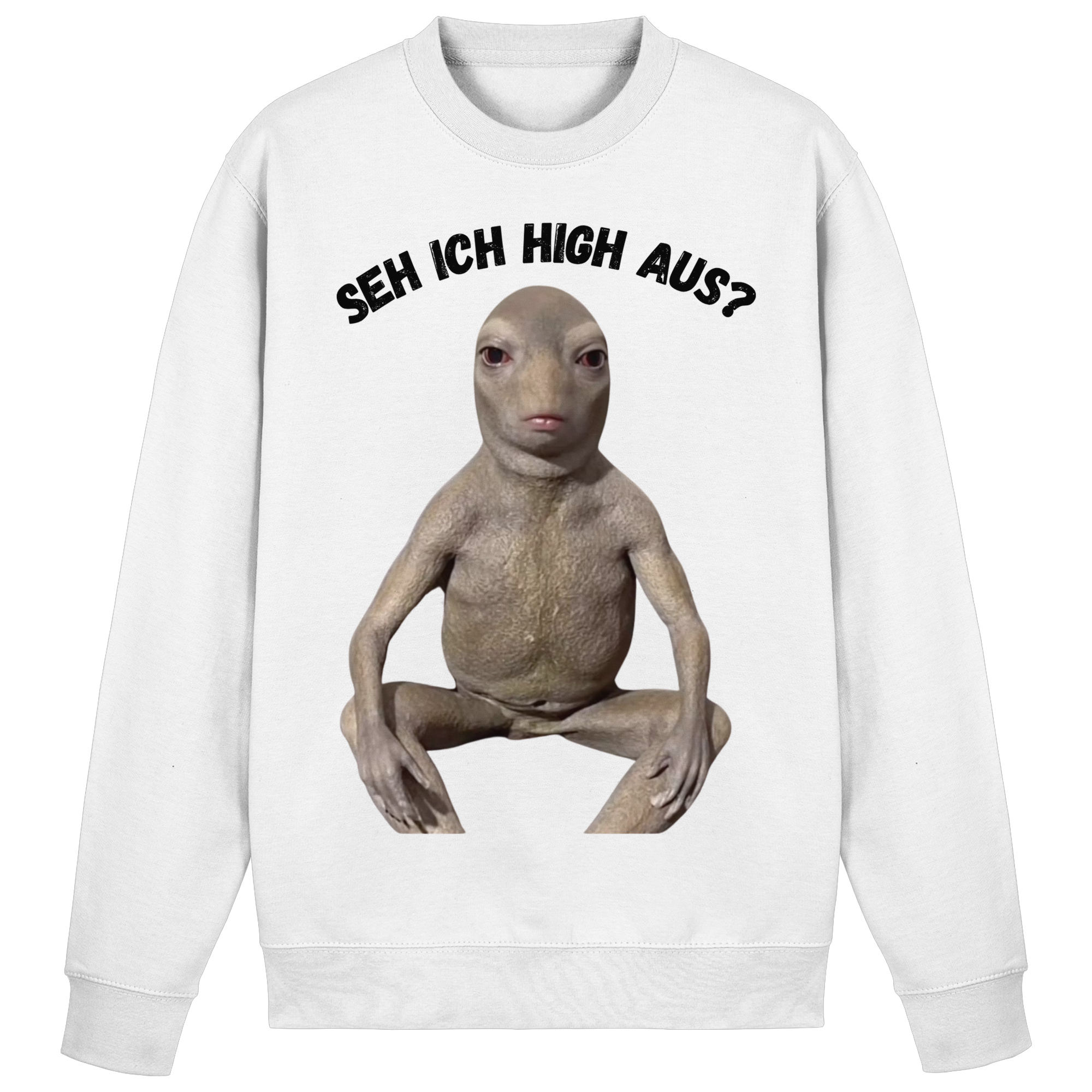 SEH ICH HIGH AUS? Sweatshirt