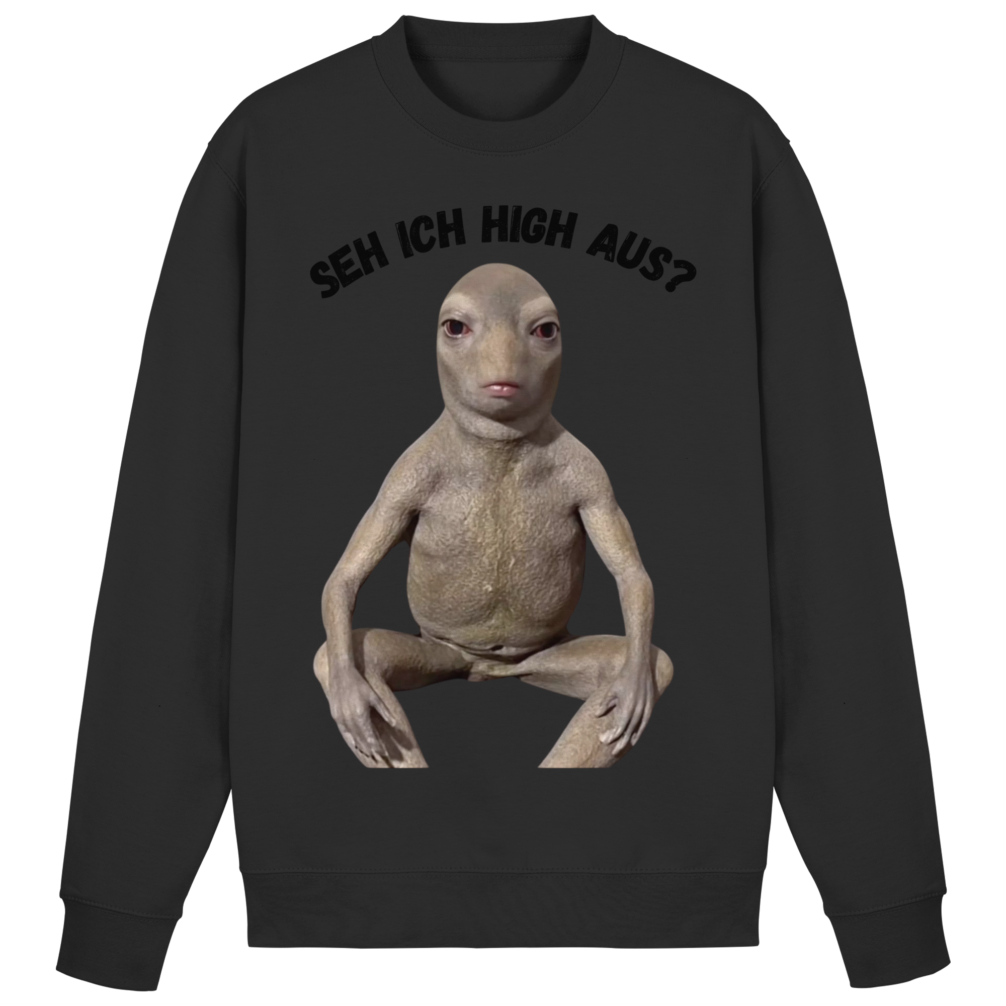 SEH ICH HIGH AUS? Sweatshirt