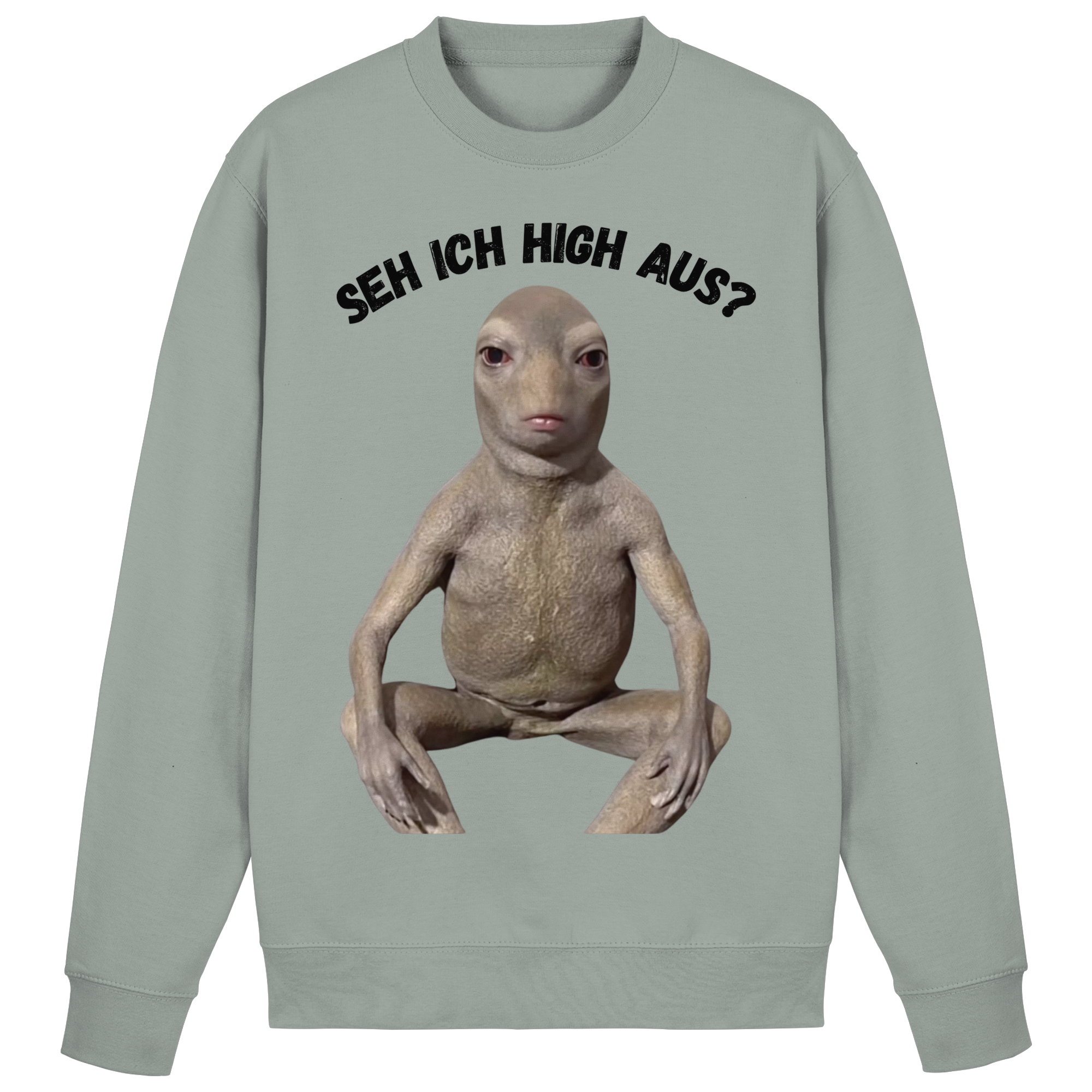 SEH ICH HIGH AUS? Sweatshirt