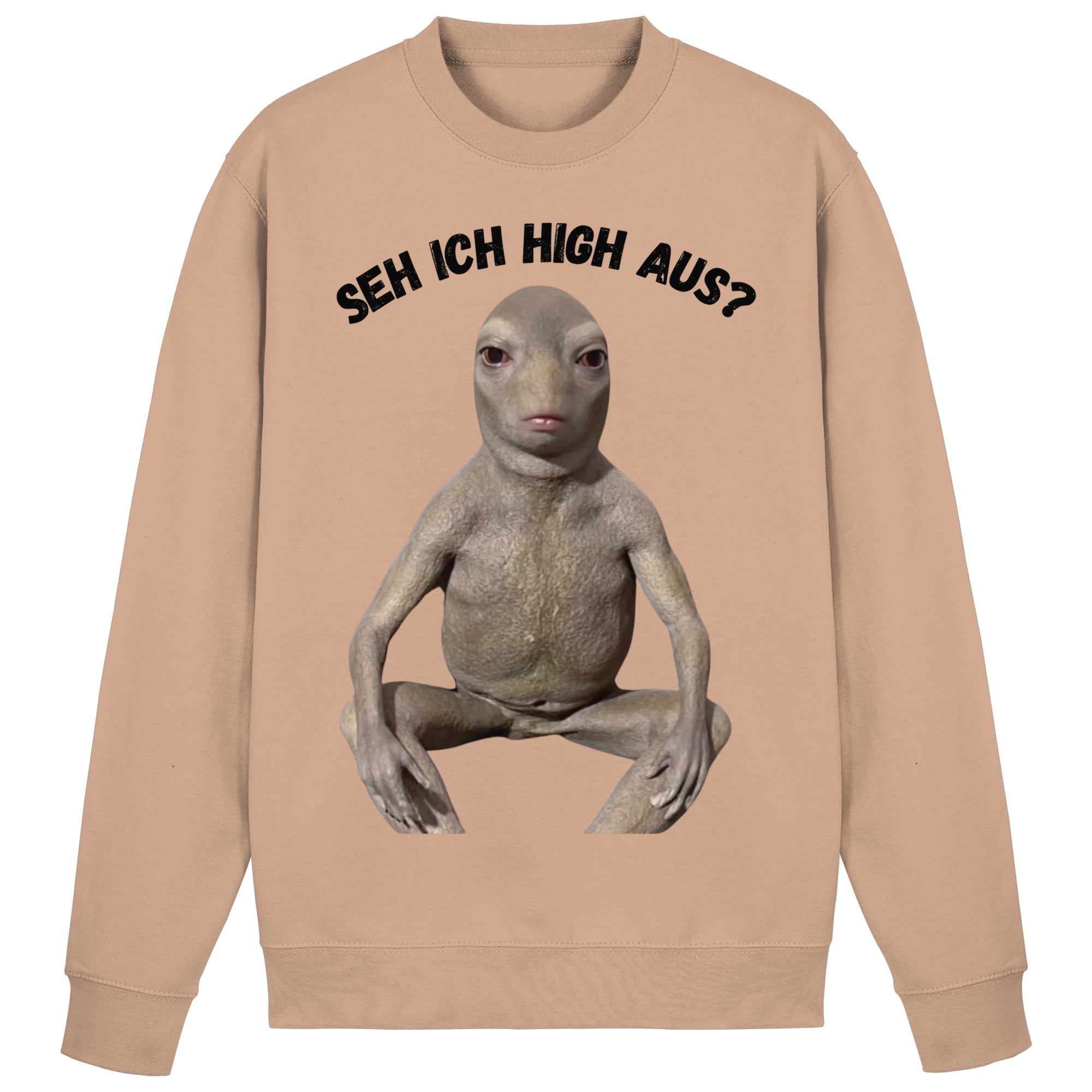 SEH ICH HIGH AUS? Sweatshirt