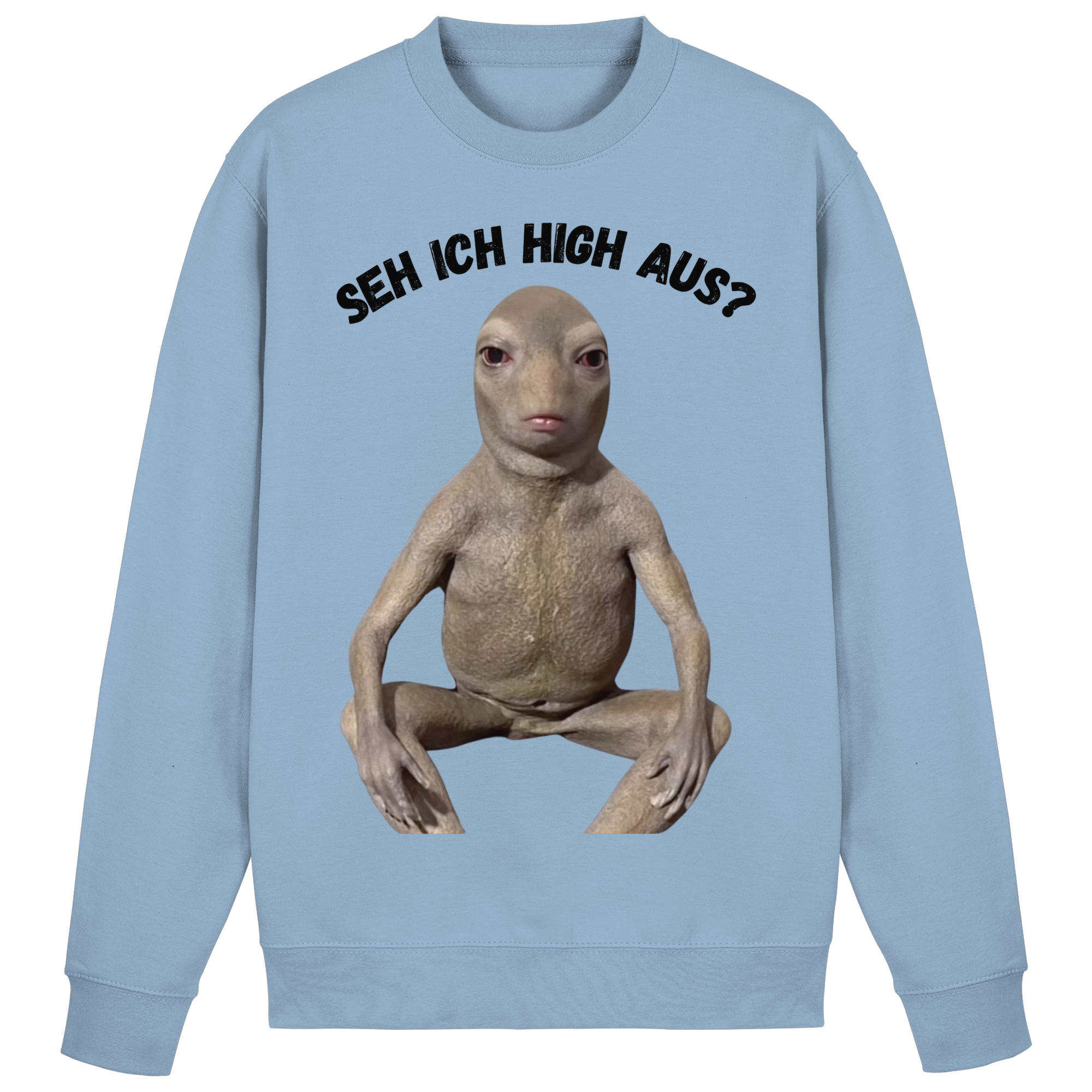 SEH ICH HIGH AUS? Sweatshirt