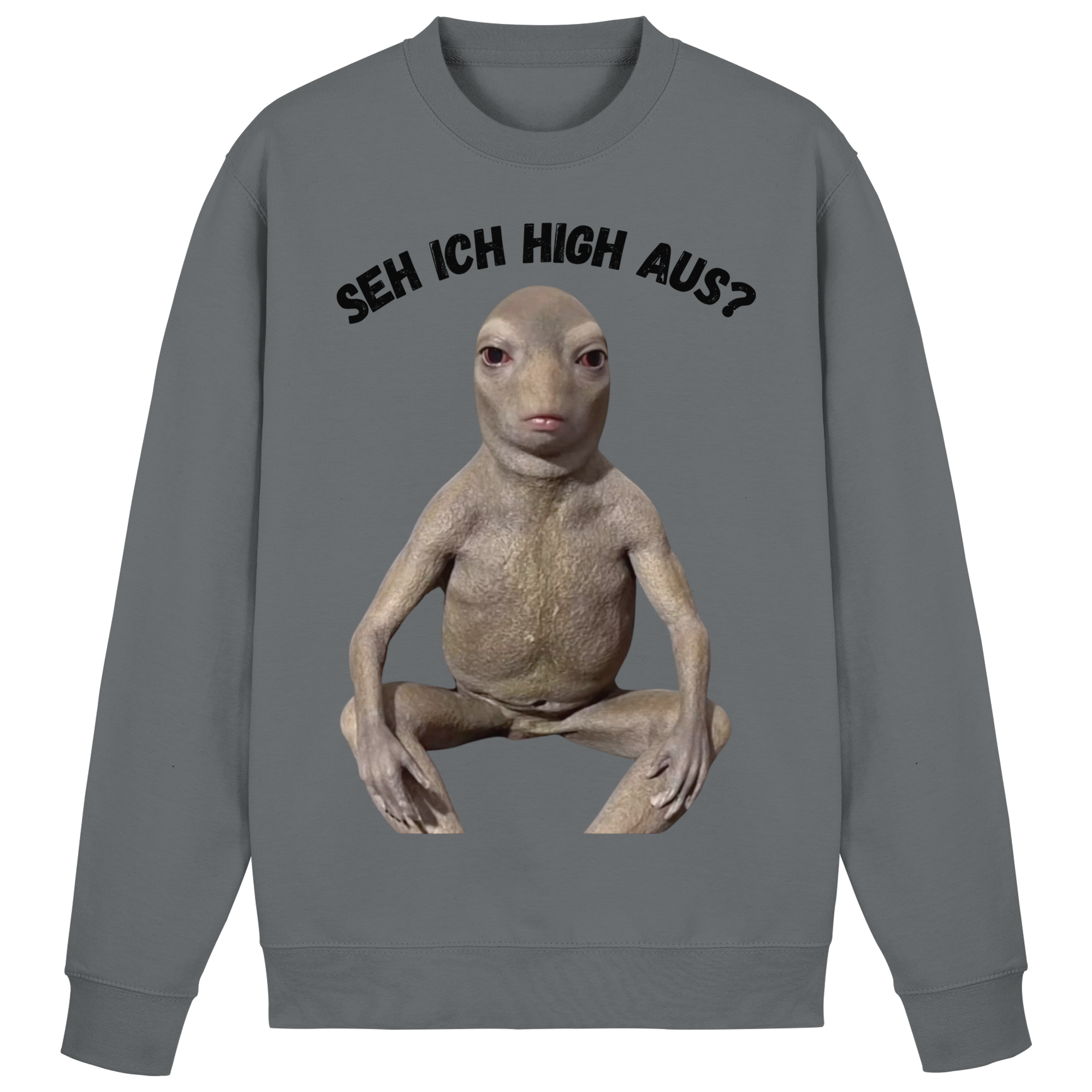 SEH ICH HIGH AUS? Sweatshirt