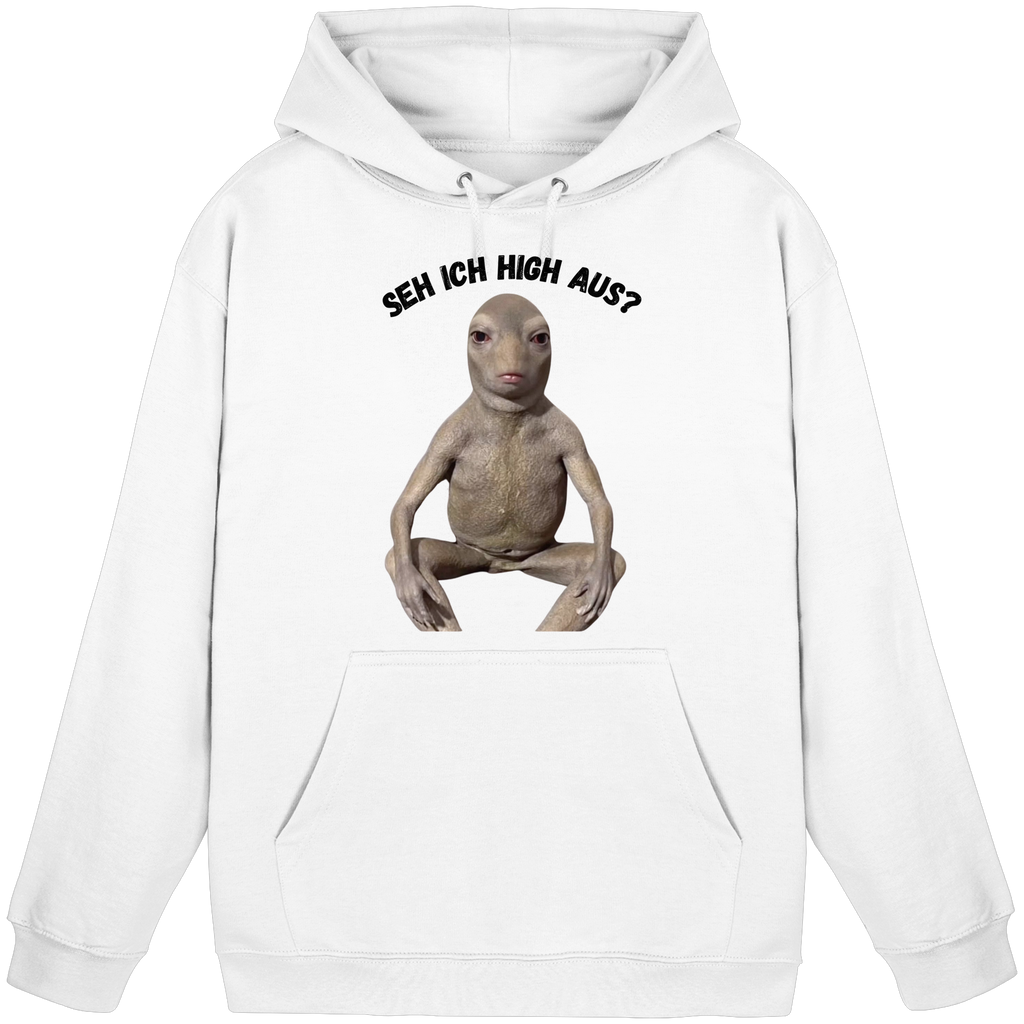 SEH ICH HIGH AUS? Hoodie