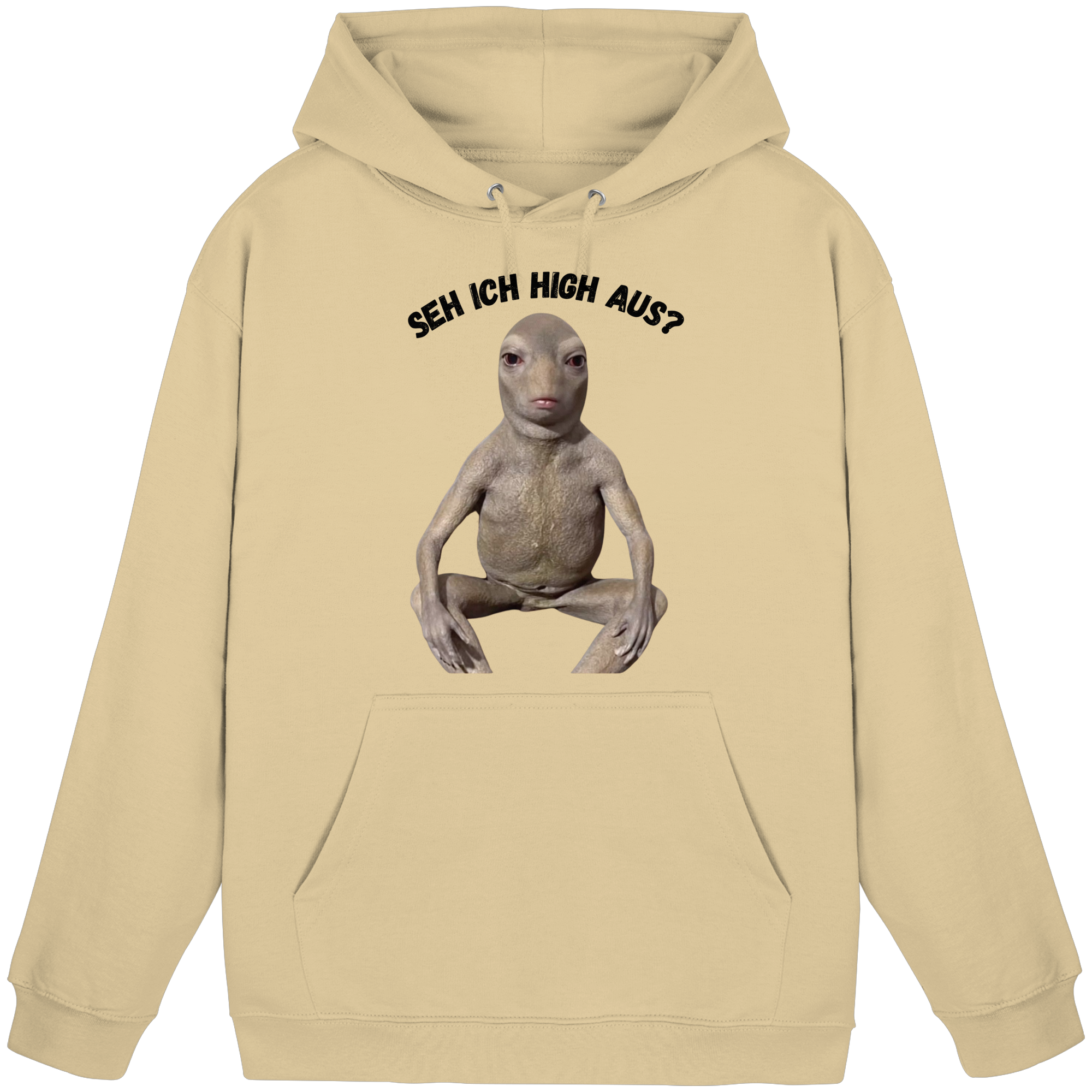 SEH ICH HIGH AUS? Hoodie