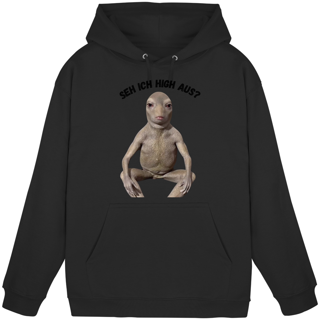 SEH ICH HIGH AUS? Hoodie