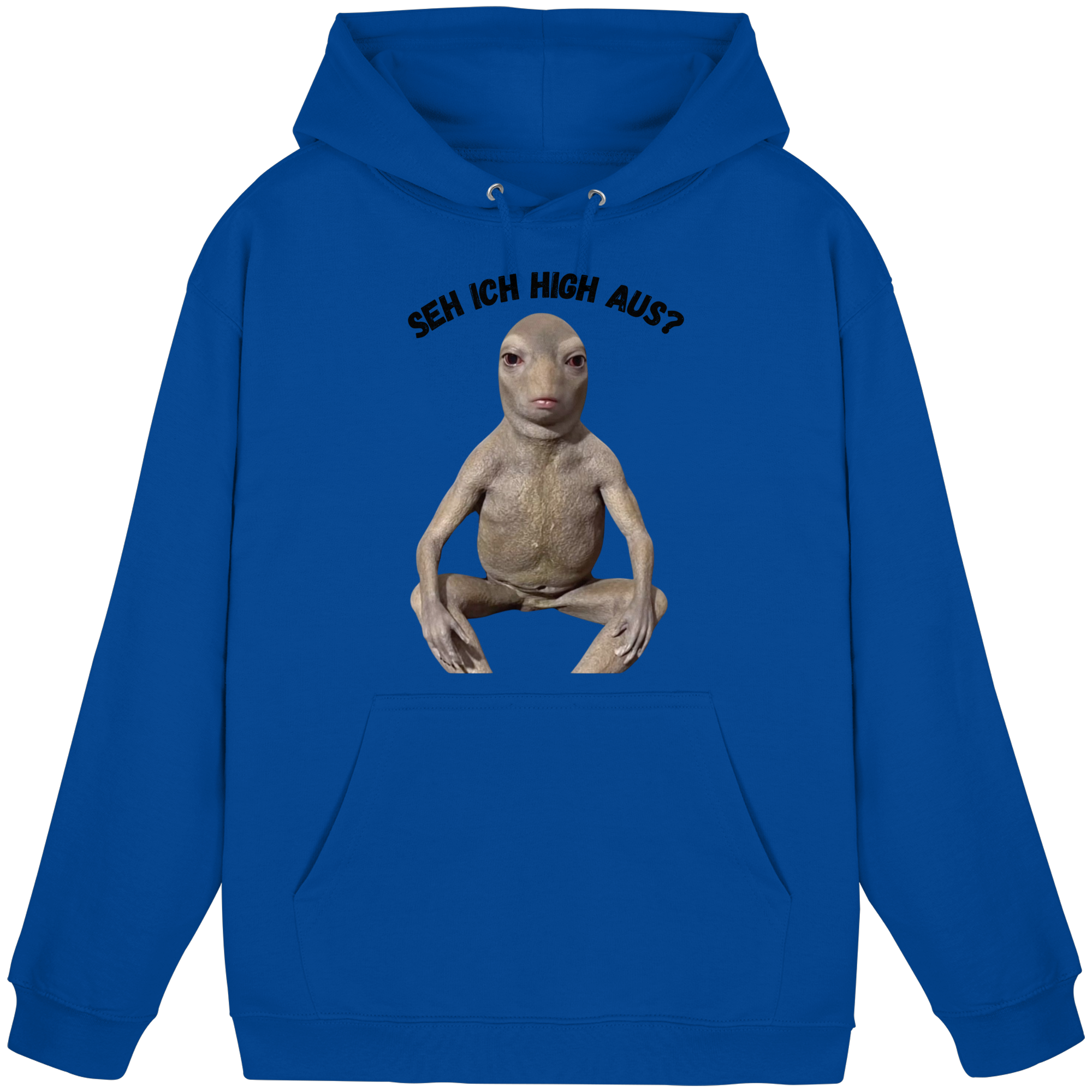 SEH ICH HIGH AUS? Hoodie